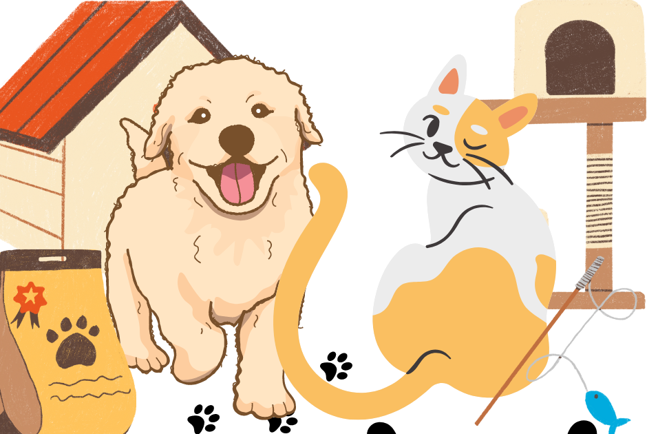 Do dogs make better pets than cats? Big Debate Club