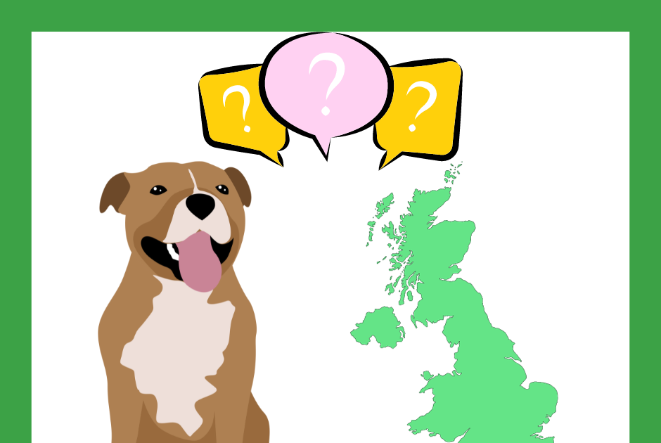 Should Some Dog Breeds Be Banned In The UK Big Debate Club   XL BULLY 1 940x630 